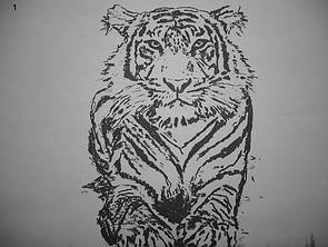 Tiger tiger.jpg